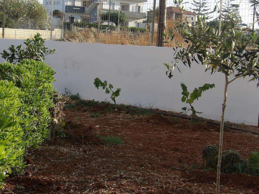 Teo 1 Apartment غوفي المظهر الخارجي الصورة