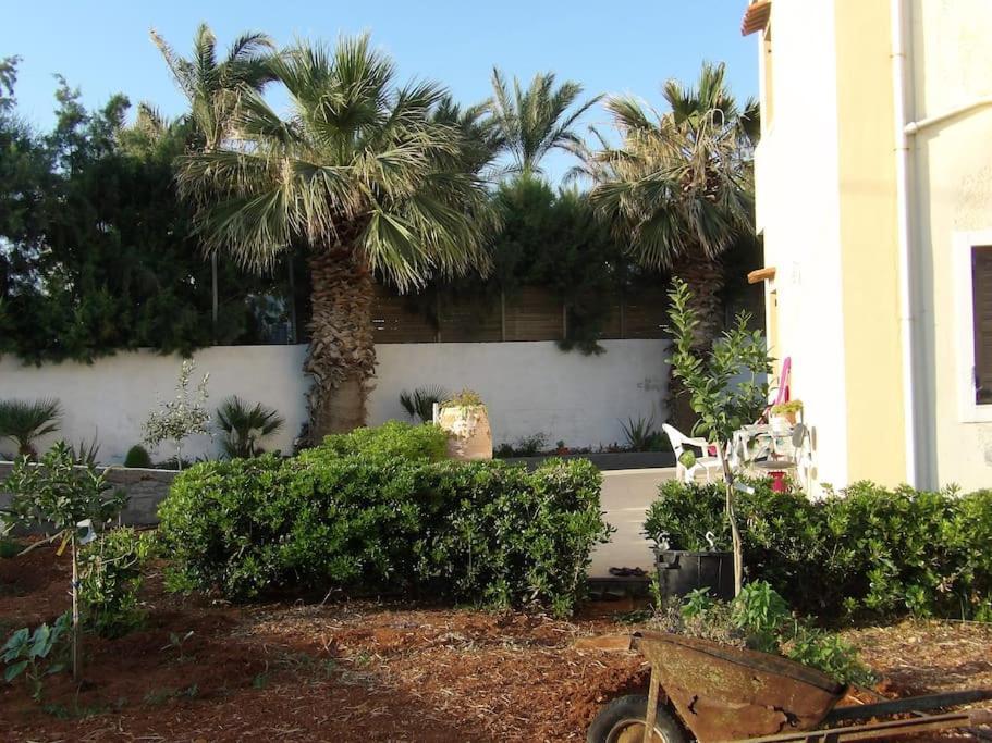 Teo 1 Apartment غوفي المظهر الخارجي الصورة