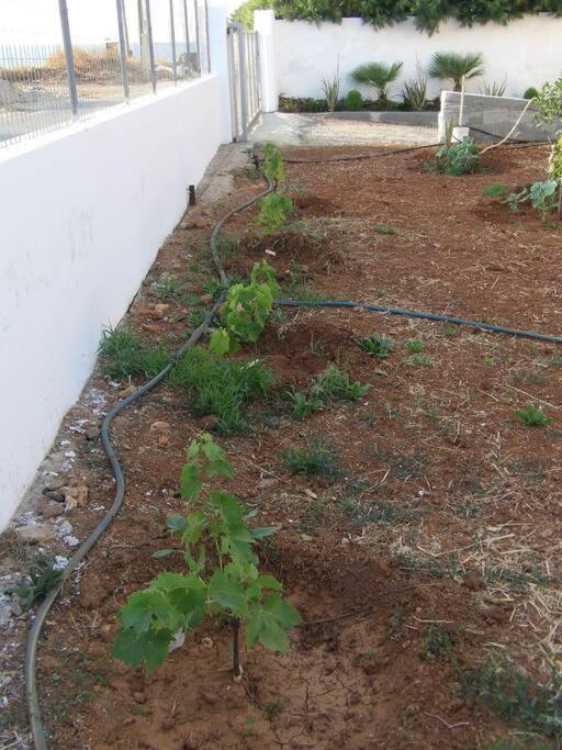 Teo 1 Apartment غوفي المظهر الخارجي الصورة